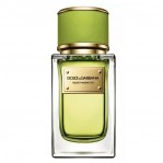 DOLCE & GABBANA Velvet Mughetto