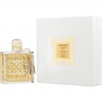 MDCI Rose de Siwa