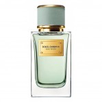 DOLCE & GABBANA Velvet Infusion